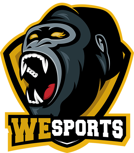 WeSports