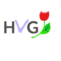 HVGaming