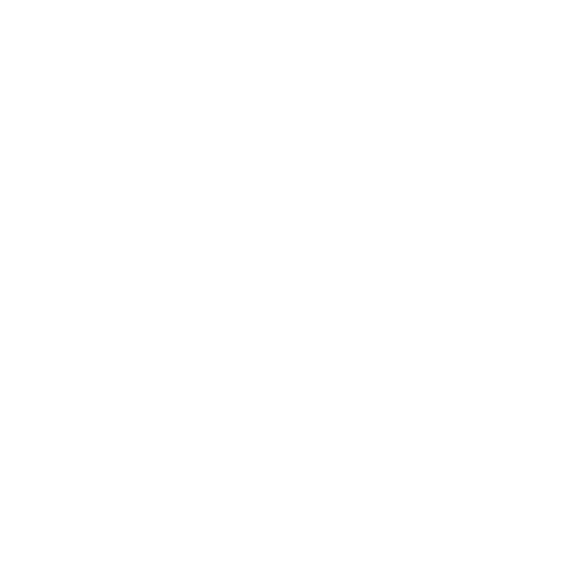 mibr - Made in Brazil