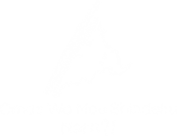 NaNi E-Sports NaNi E-Sports