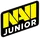 NaVi Junior (Natus Vincere Junior)
