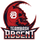 TeamBasH Absent