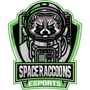 SpaceRaccoons