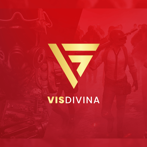 VIS DIVINA Academy